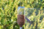 Plastic Bottle Bird Feeder